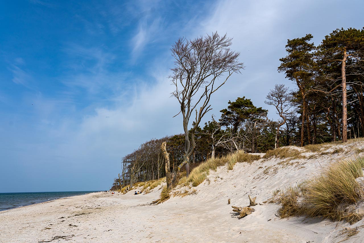 Wandbild Ostsee Der Weststrand Motiv Dmos Ddv Lokal